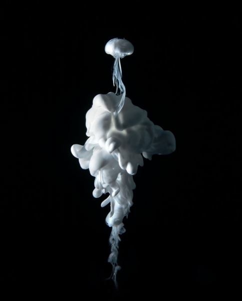 Photograph Mark Mawson Aqueous on One Eyeland